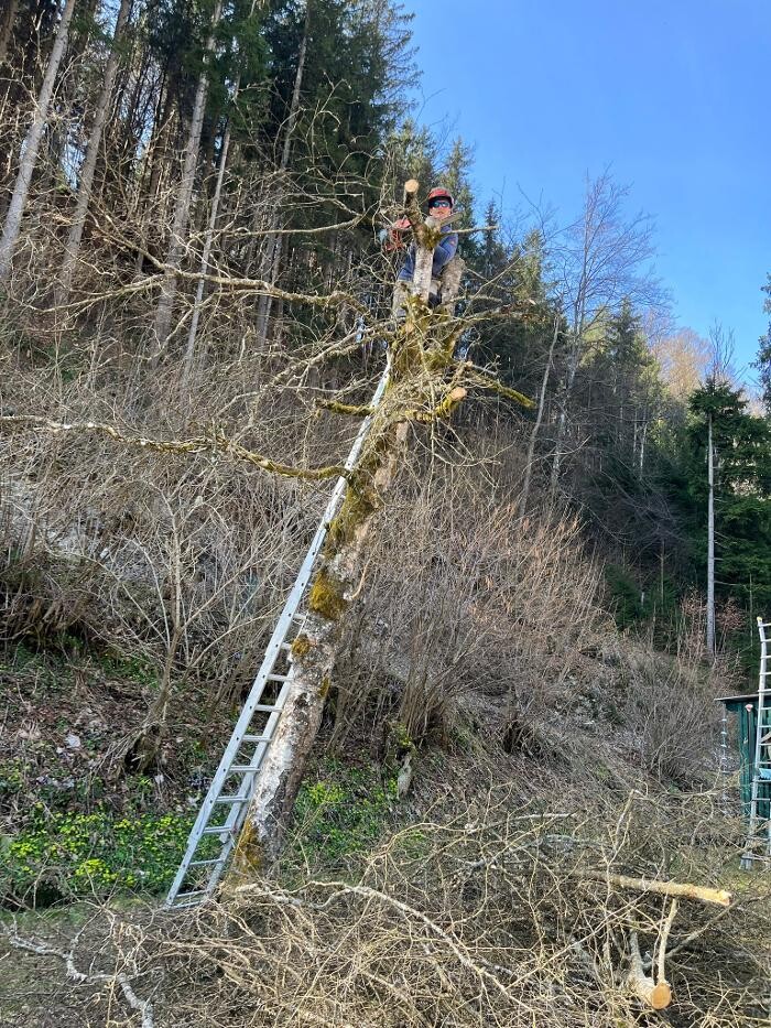 Bilder Hausmeisterservice Muigg Andreas