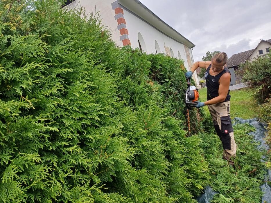 Bilder Hausmeisterservice Muigg Andreas