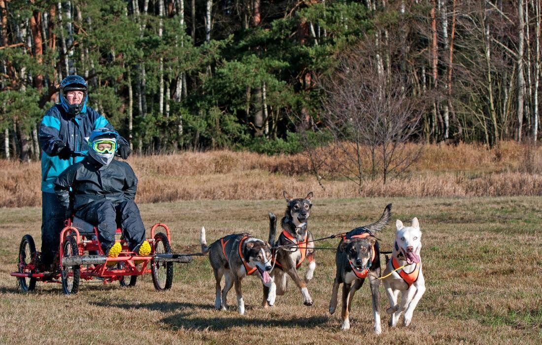 Bilder Hundeschule und Tiernahrung Edith Bartek
