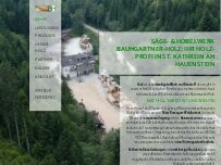 Website Screenshot Hubert Baumgartner