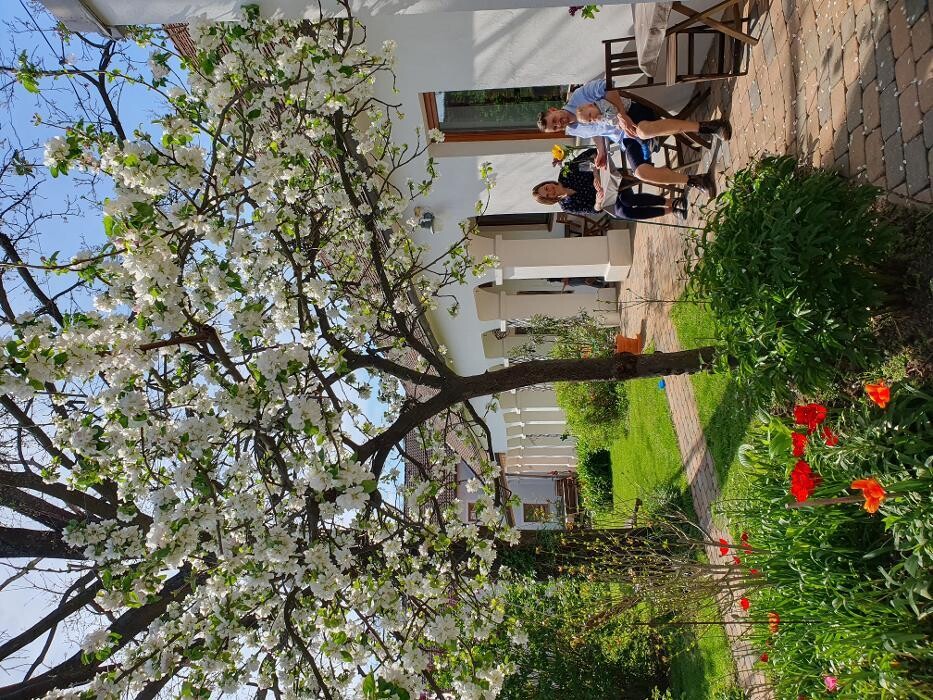 Bilder Weingut Genießerzimmer Bohrn