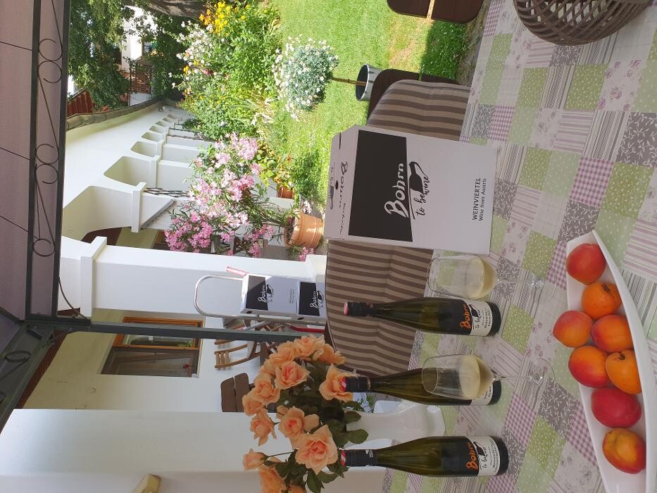 Bilder Weingut Genießerzimmer Bohrn