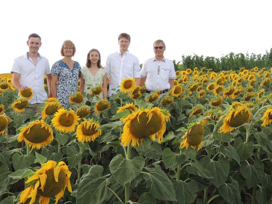 Bilder Weingut Genießerzimmer Bohrn