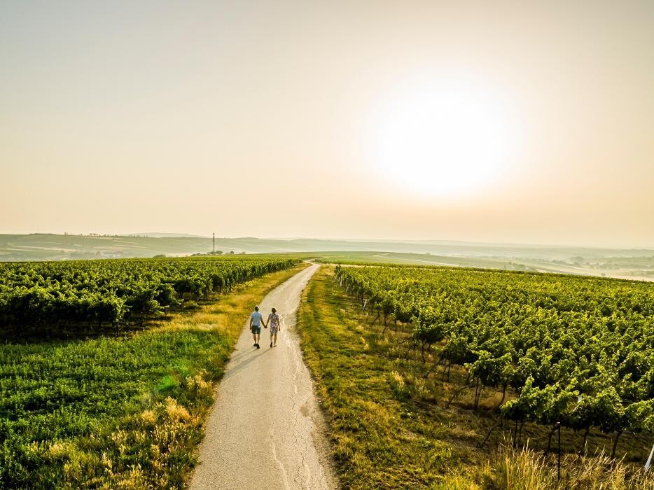 Bilder Weingut Genießerzimmer Bohrn