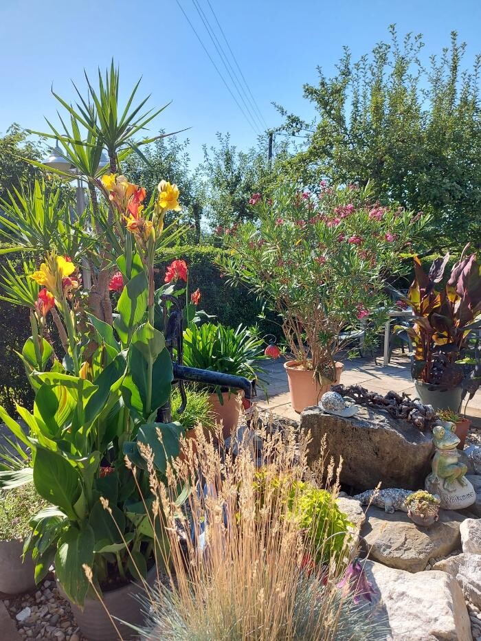Bilder Dorfschenke & Biergartenrestaurant Kaltschach