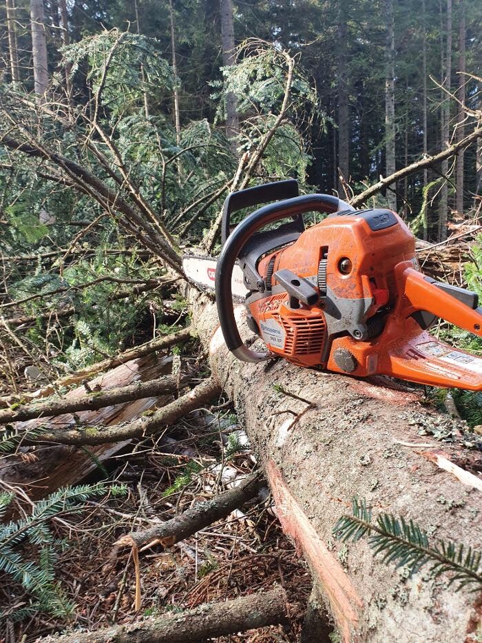 Bilder Schützelhofer Holzschlägerung - Gartenservice