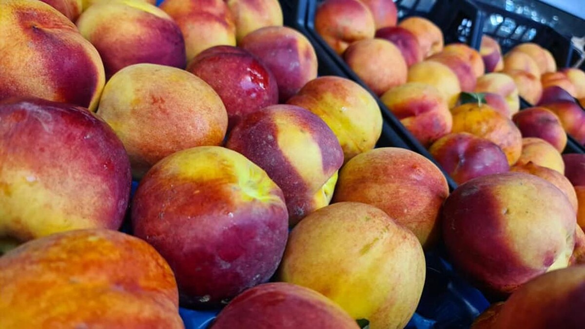 Bilder Onay Supermarkt