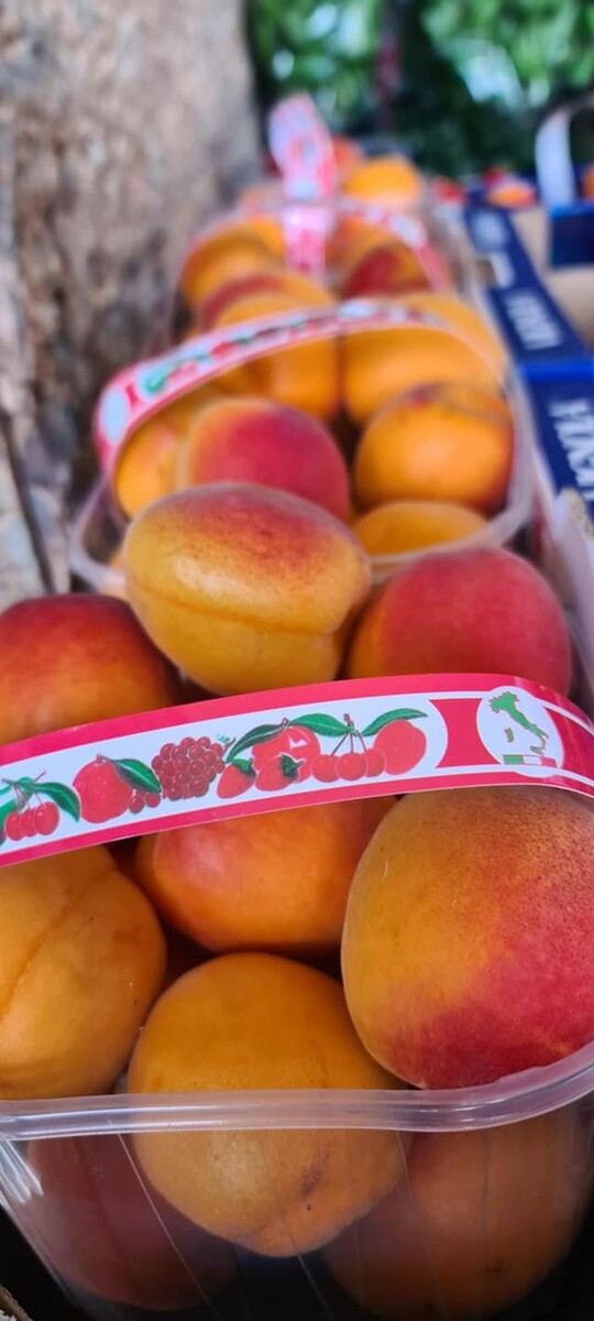 Bilder Onay Supermarkt