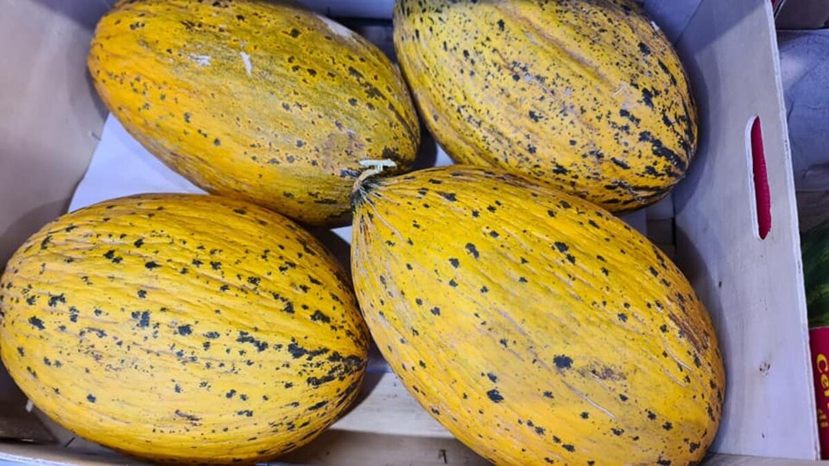 Bilder Onay Supermarkt