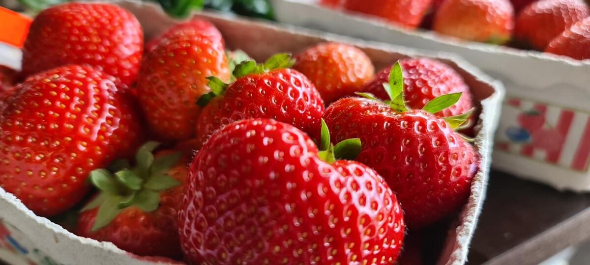 Bilder Onay Supermarkt