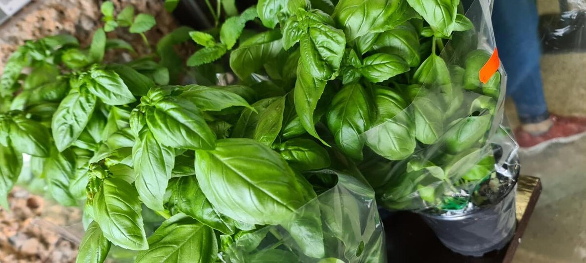 Bilder Onay Supermarkt