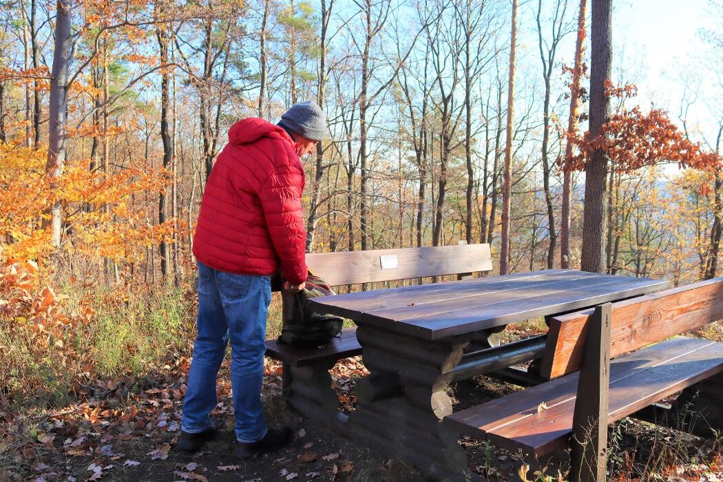 Bilder Appartement ROSalia - Privatvermietung