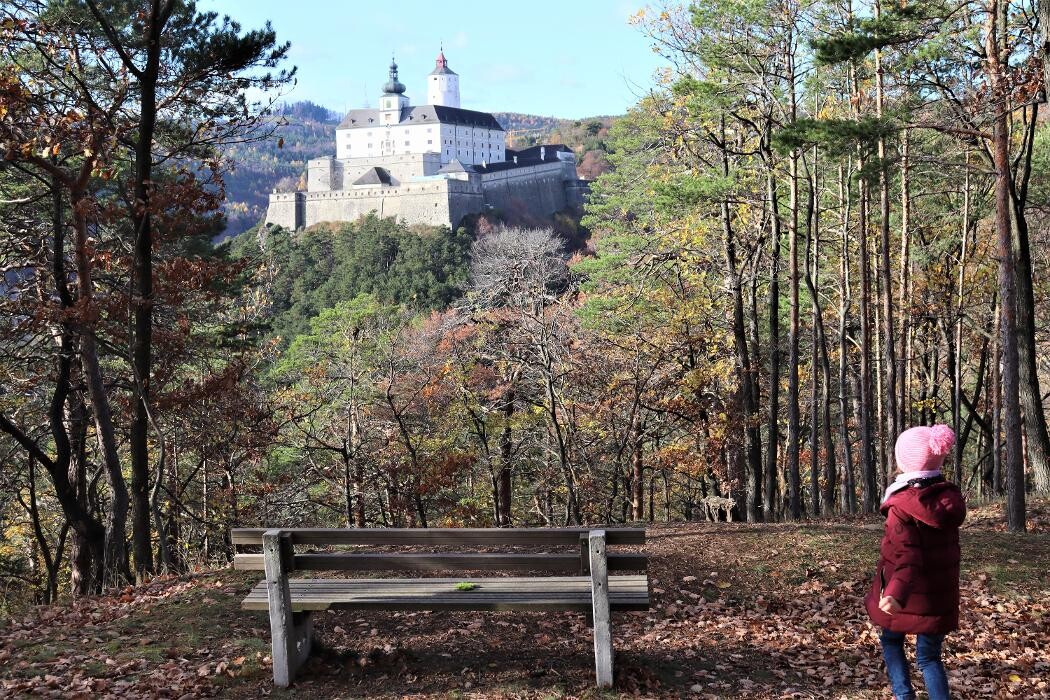 Bilder Appartement ROSalia - Privatvermietung