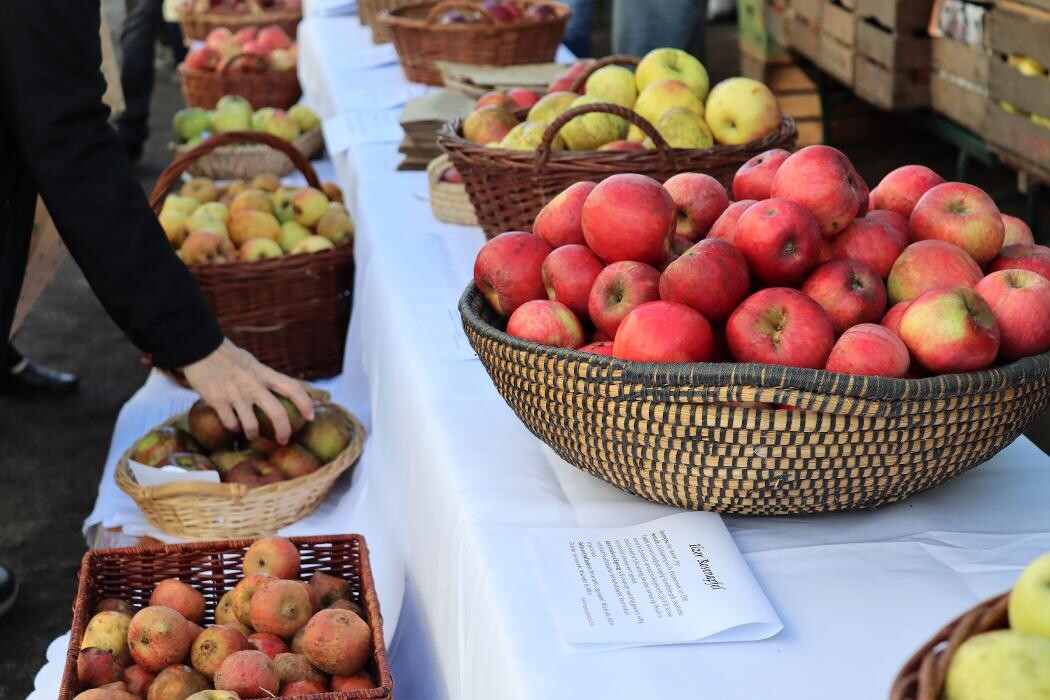 Bilder Appartement ROSalia - Privatvermietung