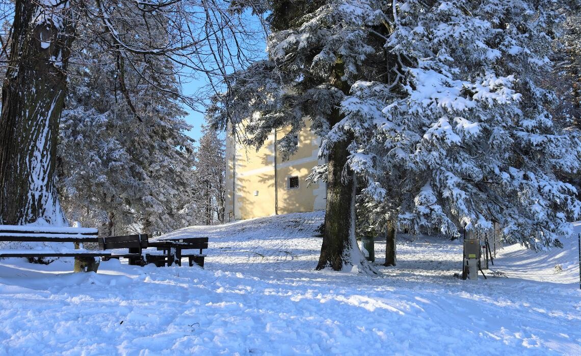 Bilder Appartement ROSalia - Privatvermietung