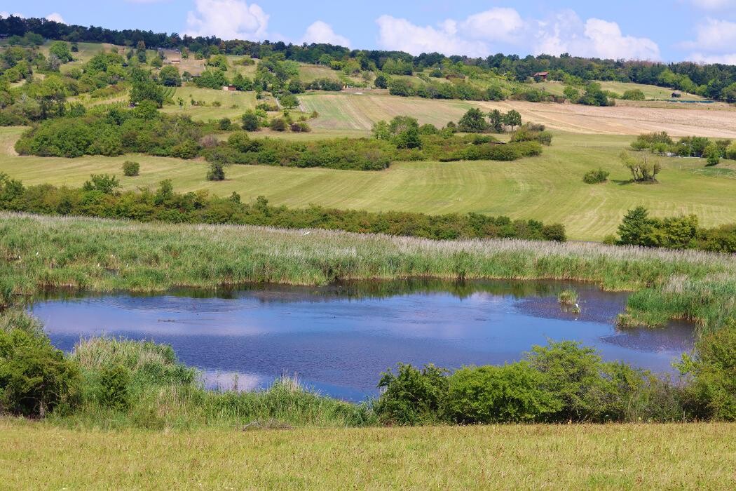 Bilder Appartement ROSalia - Privatvermietung