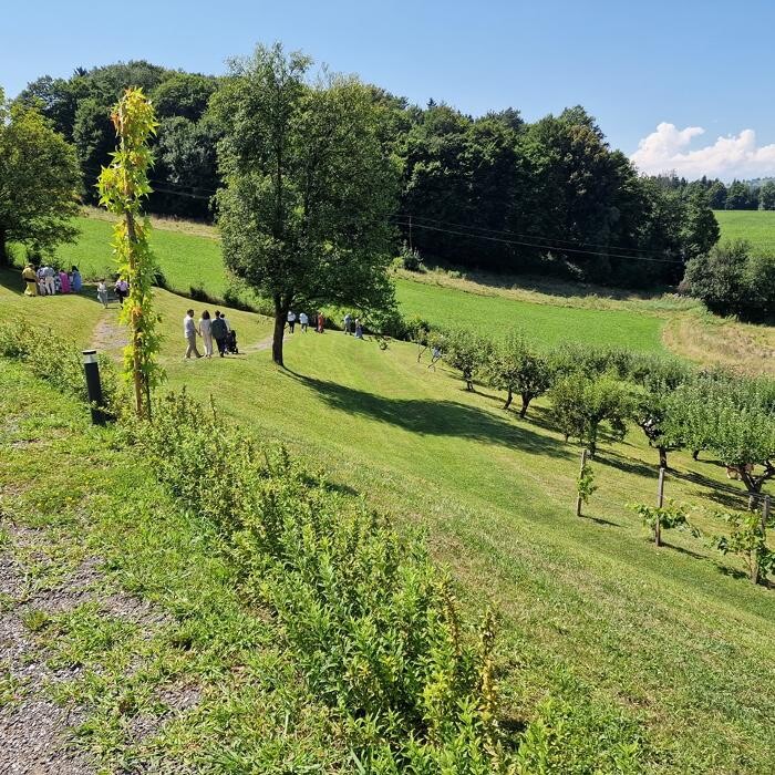 Bilder zum Sausaler Boutique Hotel-Pension Südsteiermark