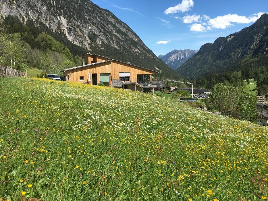 Bilder Bellavista Appartements Premium