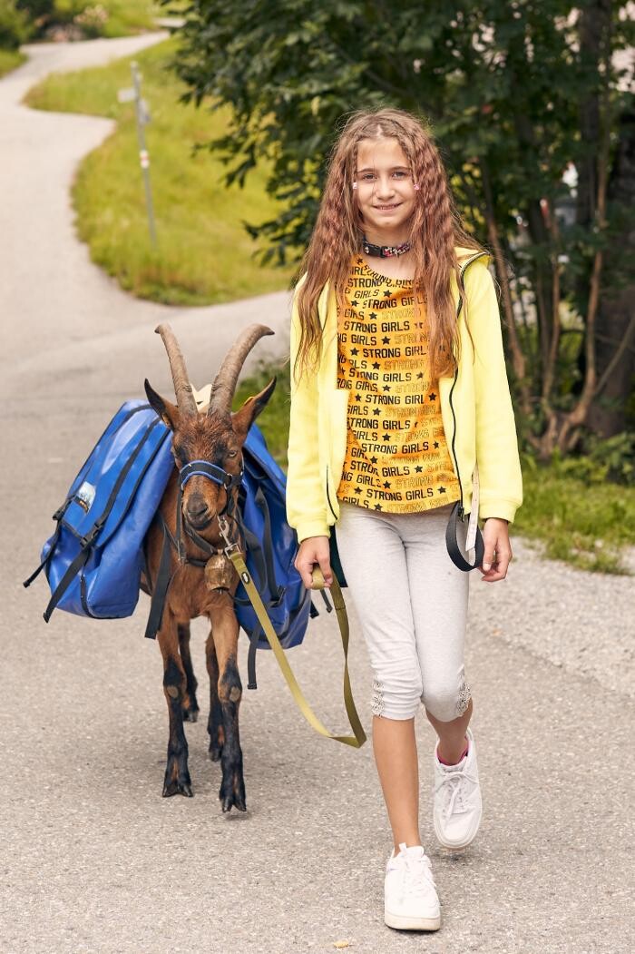 Bilder Bellavista Appartements Premium