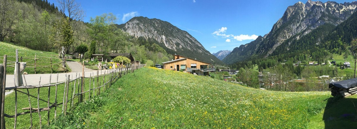 Bilder Bellavista Appartements Premium