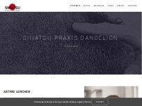 Website Screenshot Shiatsu Praxis Dandelion