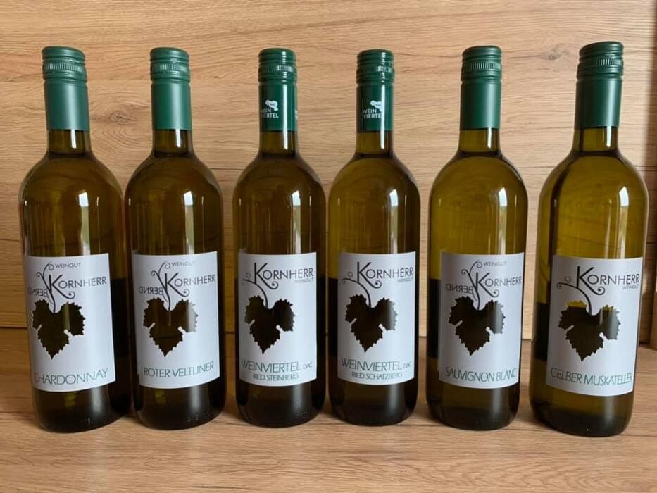 Bilder Weingut Kornherr