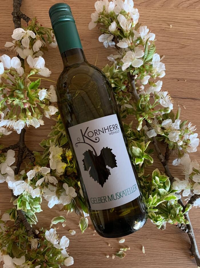 Bilder Weingut Kornherr