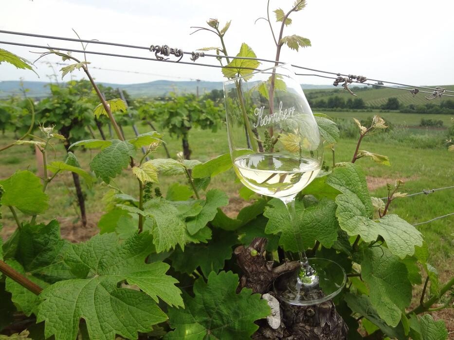 Bilder Weingut Kornherr
