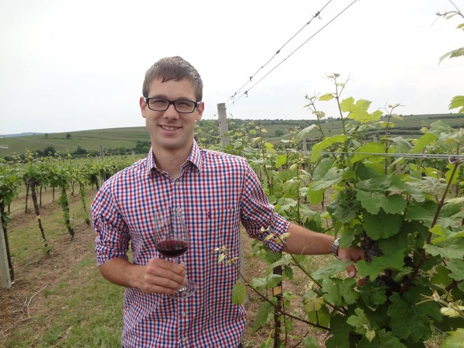 Bilder Weingut Kornherr