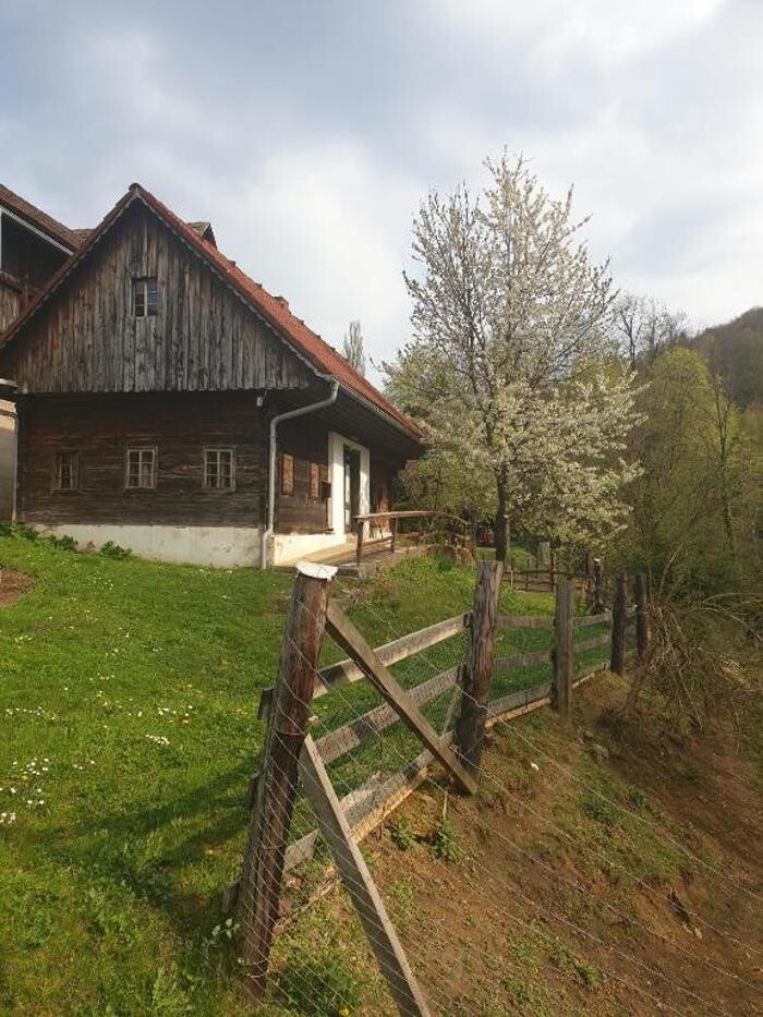 Bilder Ferienhaus Kleissner