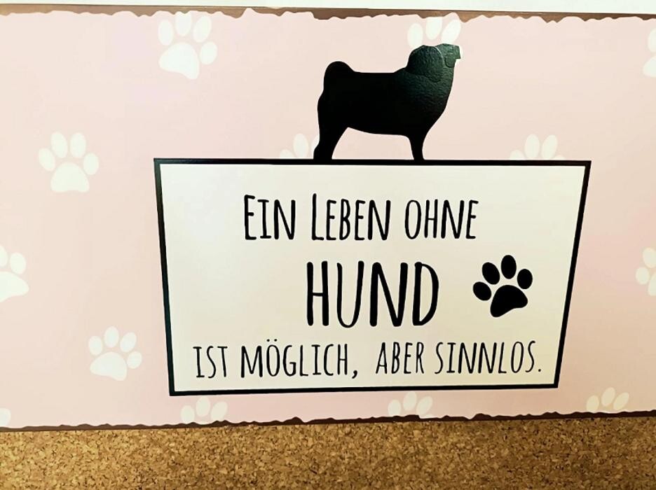 Bilder Hundesalon 4 Pfötchen