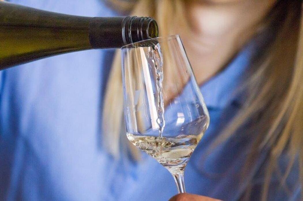 Bilder Weingut Mantler 31