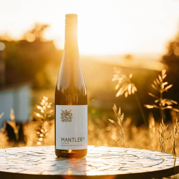 Bilder Weingut Mantler 31
