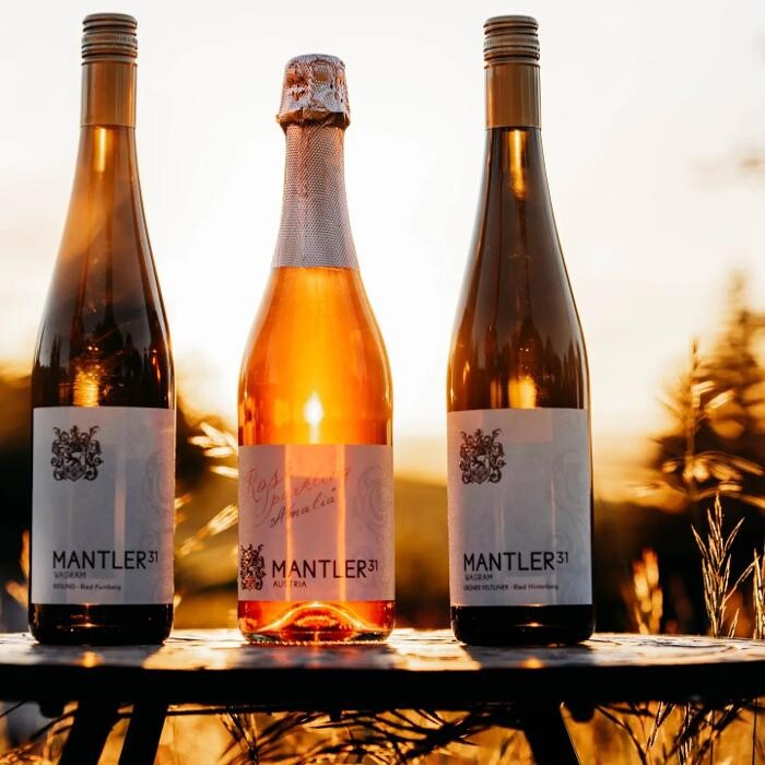 Bilder Weingut Mantler 31