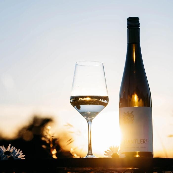 Bilder Weingut Mantler 31