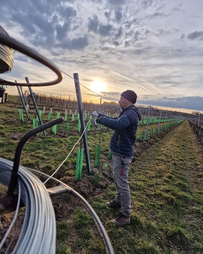 Bilder Weingut Mantler 31