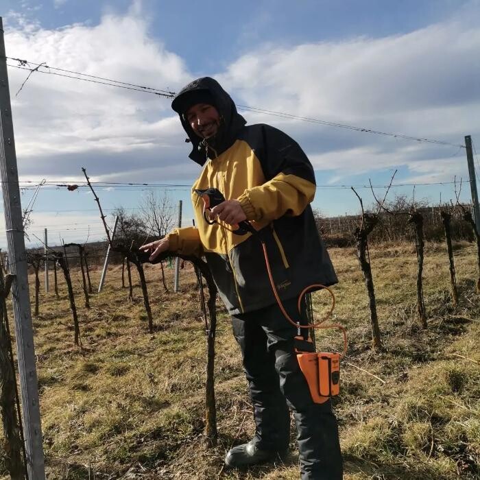 Bilder Weingut Mantler 31