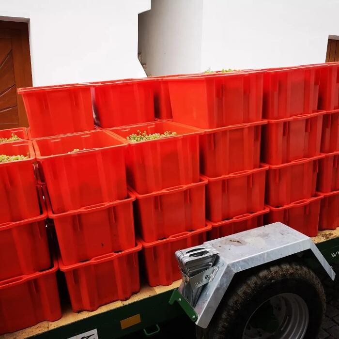Bilder Weingut Mantler 31