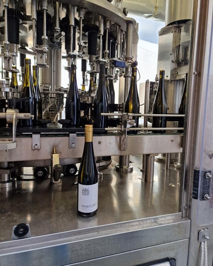 Bilder Weingut Mantler 31