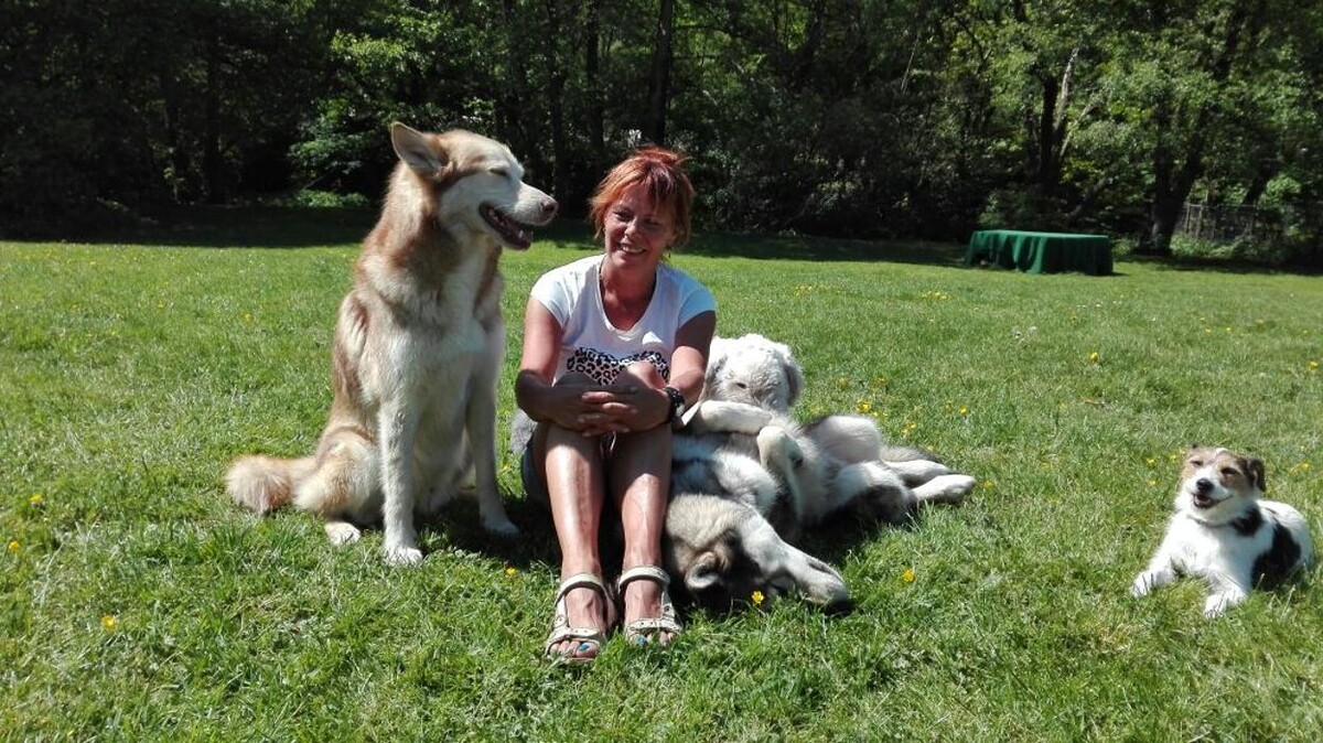 Bilder Natürlich Hund Tirol