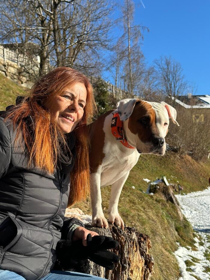 Bilder Natürlich Hund Tirol