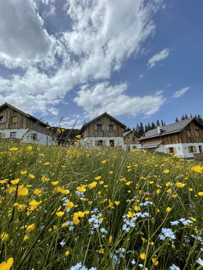 Bilder Almdorf Omlach