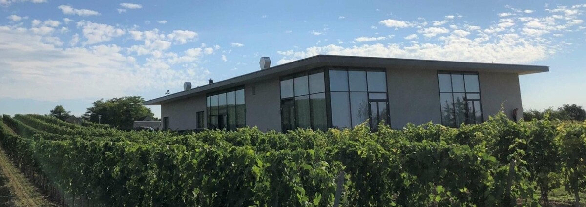 Bilder W4 - Wein l Genuss l Kultur