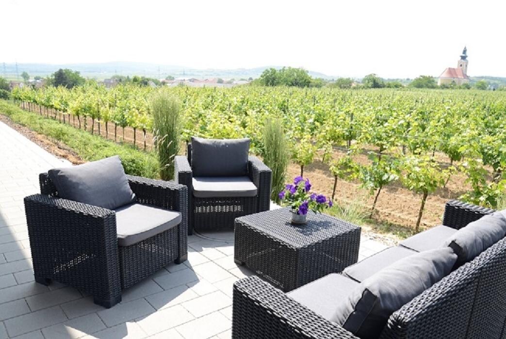 Bilder W4 - Wein l Genuss l Kultur