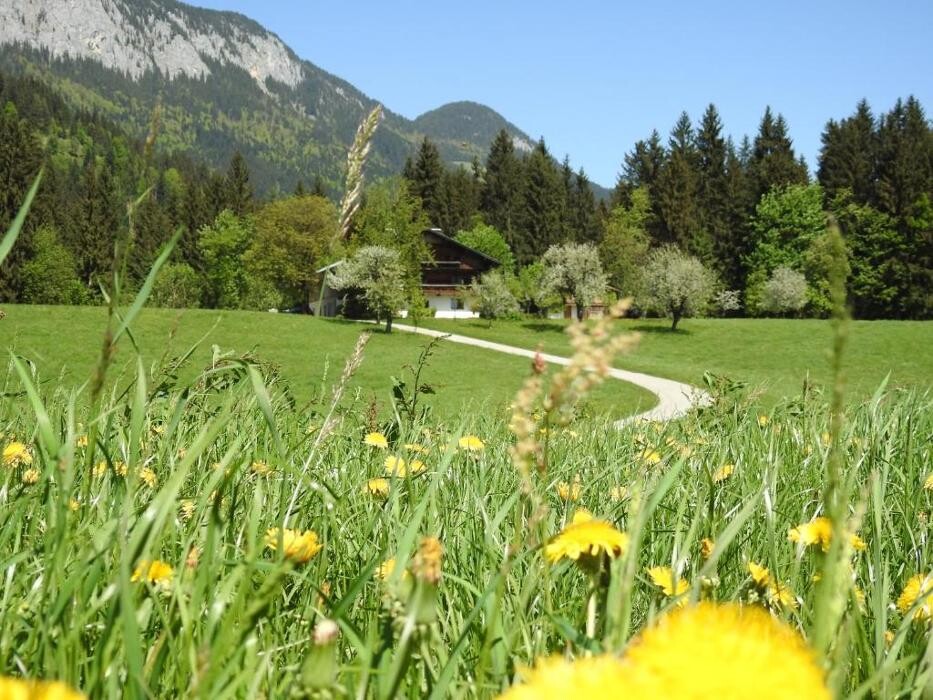 Bilder Bauernhof & Ferienwohnung Hintenberg