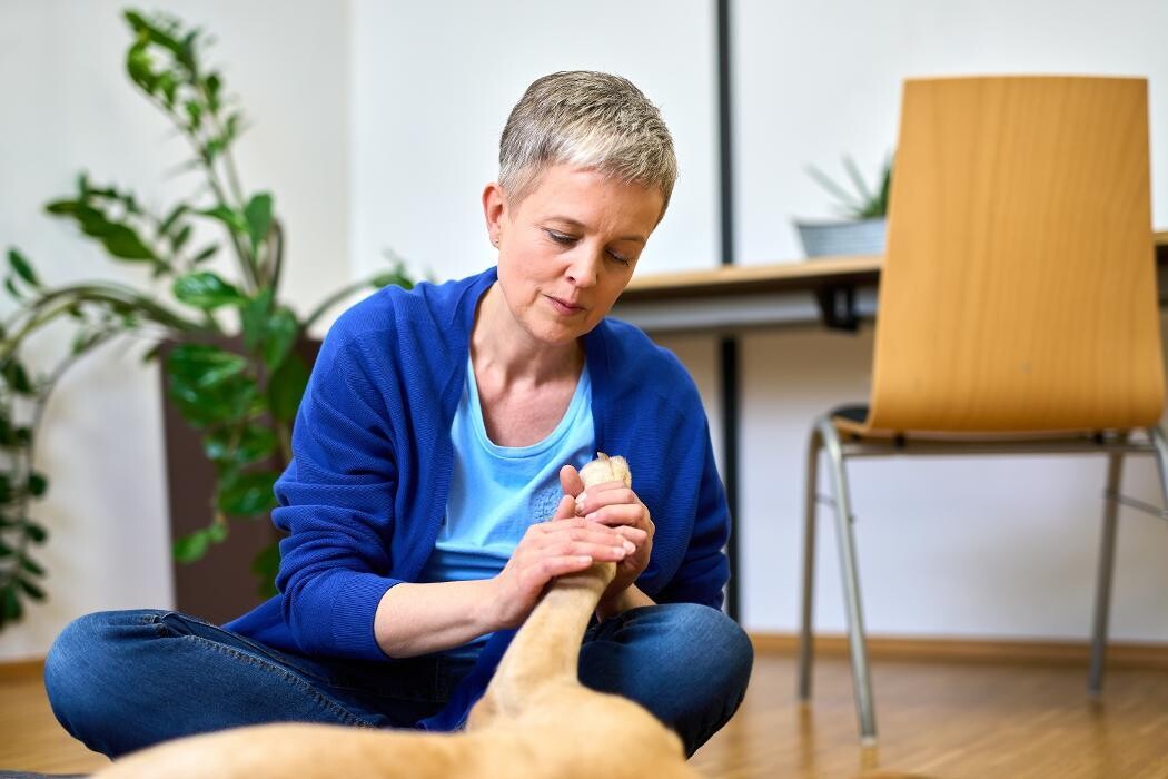 Bilder Soulway | Silvia Wendecker - Tierenergetik, Humanenergetik