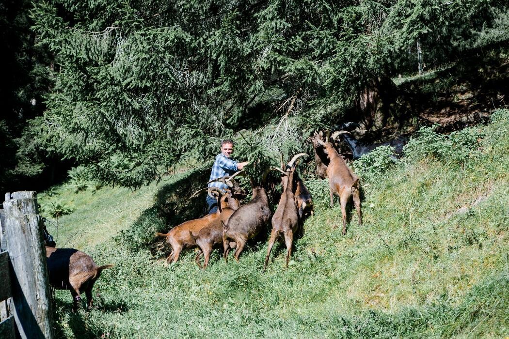 Bilder Bretei Chalets