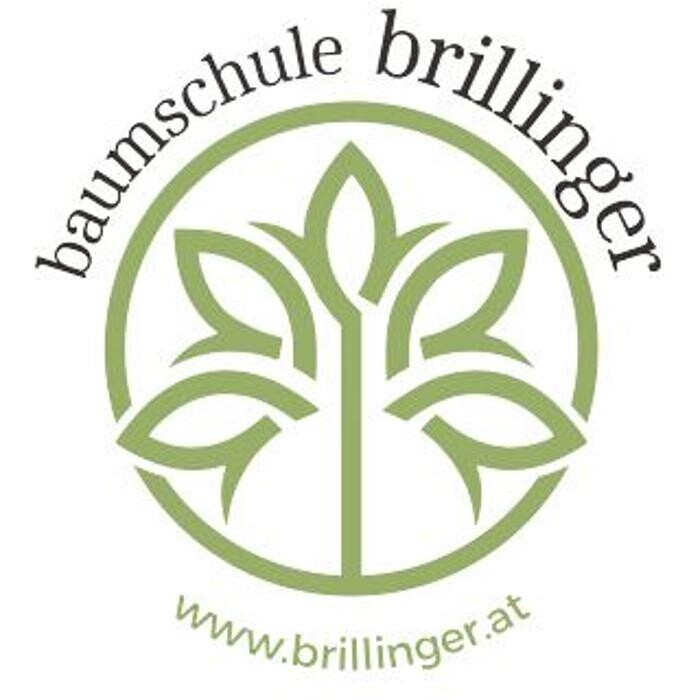 Baumschule Brillinger GmbH Logo