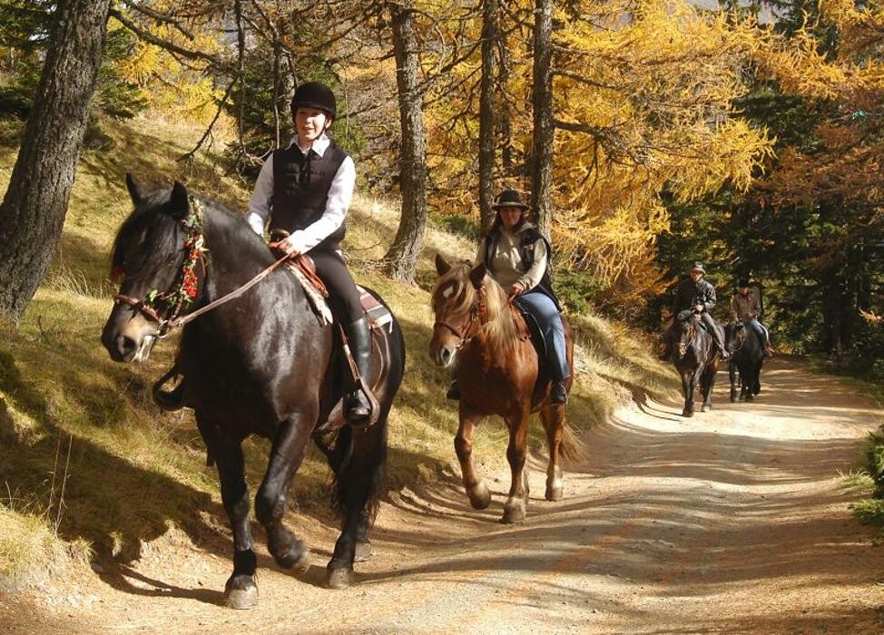 Bilder Sauschneiderhof - Urlaub am Bauernhof