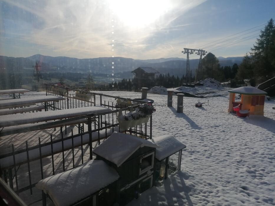 Bilder Gasthof Sauschneideralm